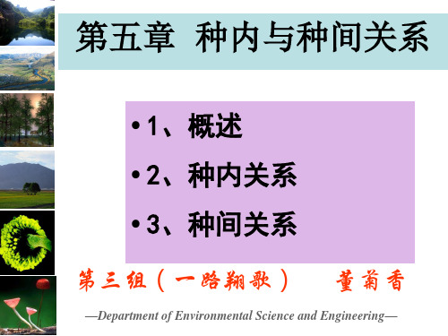 种内与种间关系