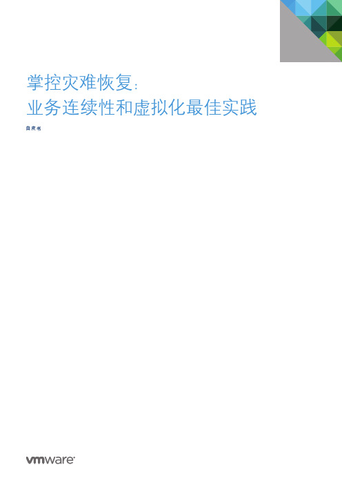虚拟化和管理：掌控灾难恢复：业务连续性和虚拟化最佳实践白皮书