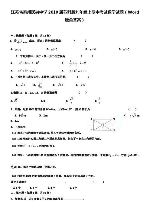 江苏省泰州民兴中学2019届苏科版九年级上期中考试数学试题(Word版含答案)