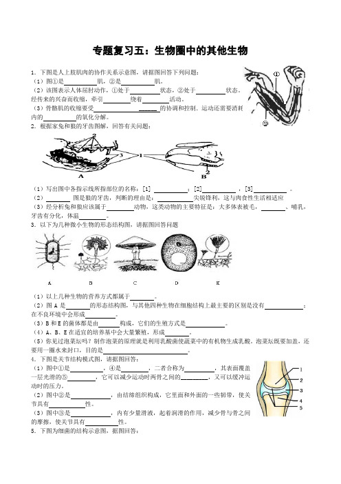 中考生物精选识图专题复习指导：专题复习五：生物圈中的其他生物