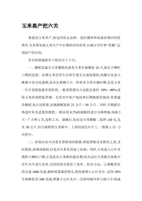玉米高产把六关
