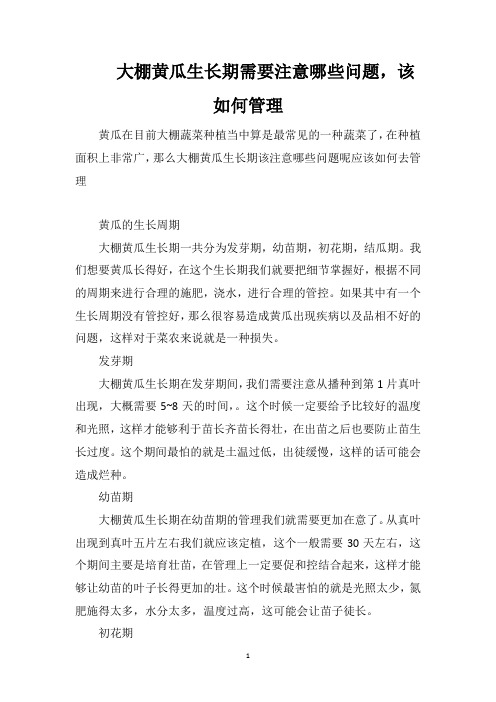 大棚黄瓜生长期需要注意哪些问题,该如何管理