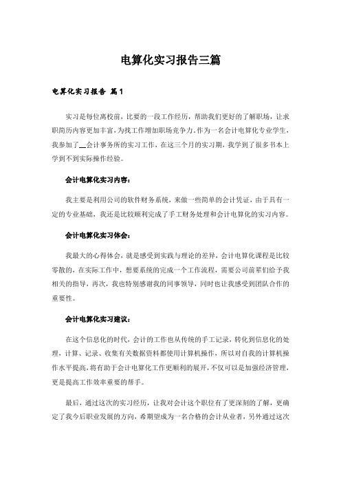 电算化实习报告三篇_2