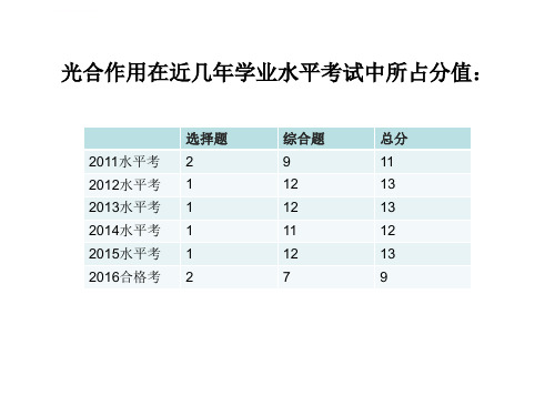 光合作用专题复习ppt课件