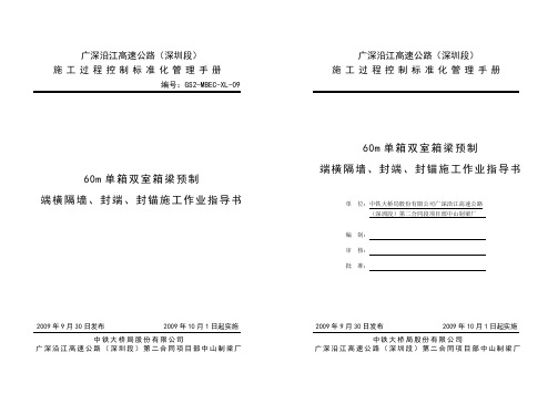 60m箱梁封锚作业指导书