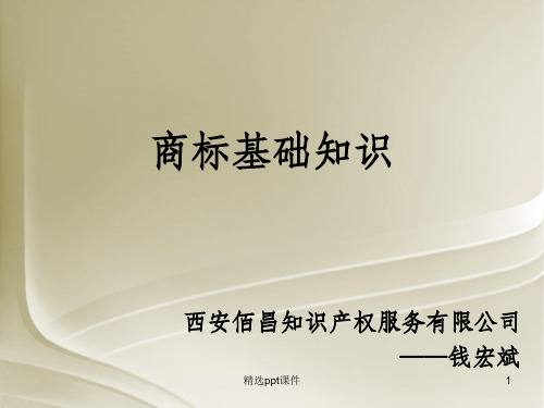 商标基础知识(培训完整)新ppt课件