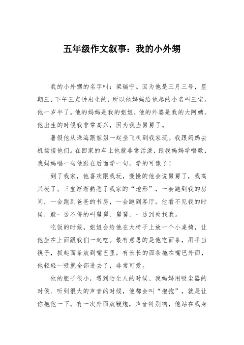 五年级作文叙事:我的小外甥