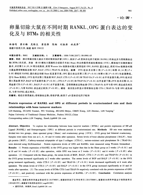 卵巢切除大鼠在不同时期RANKL、OPG蛋白表达的变化及与BTMs的相关性