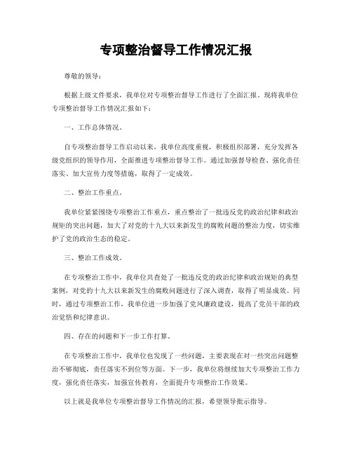 专项整治督导工作情况汇报