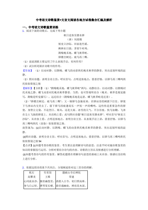 中考语文诗歌鉴赏+文言文阅读各地方试卷集合汇编及解析