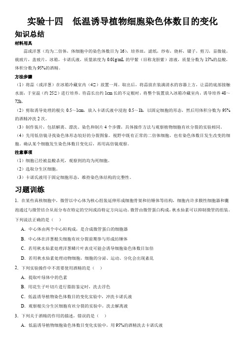 实验十四低温诱导植物细胞染色体数目的变化-2024高考生物实验专题探究