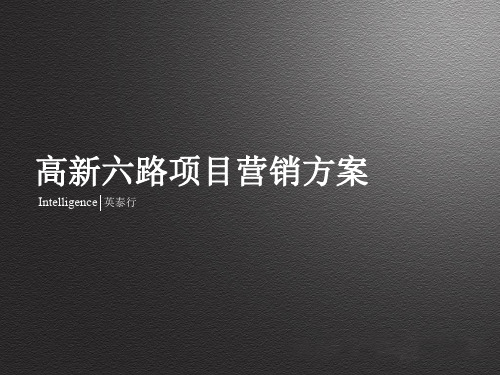 高新六路项目产品定位与营销推广初步思路