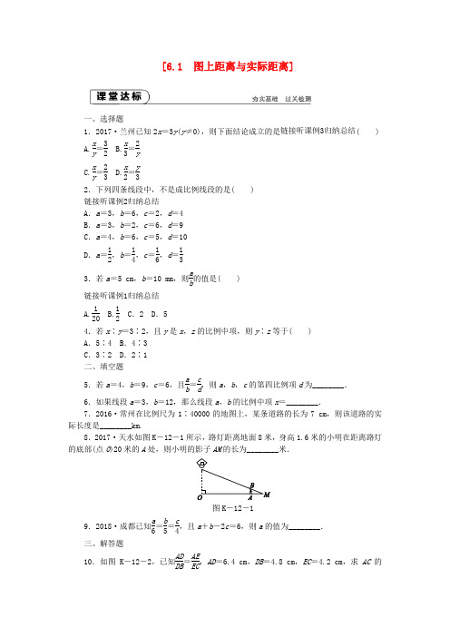 九年级数学下册第6章图形的相似6.1图上距离与实际距离同步练习