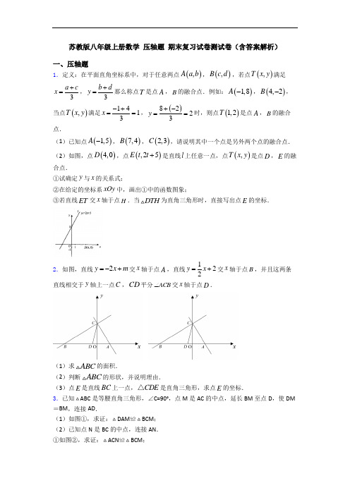 苏教版八年级上册数学 压轴题 期末复习试卷测试卷(含答案解析)