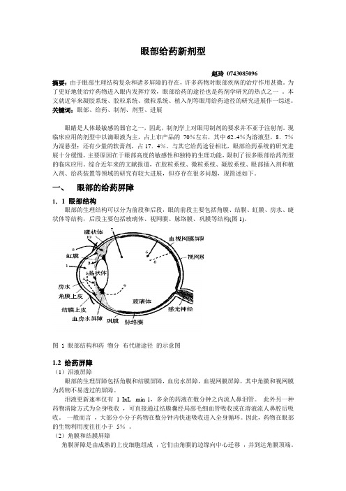 眼部给药新剂型