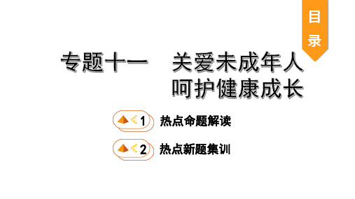 九年级中考政治总复习11专题十一 关爱未成年人 呵护健康成长