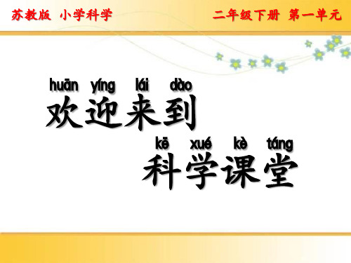 二年级下册科学认识常见材料苏教版