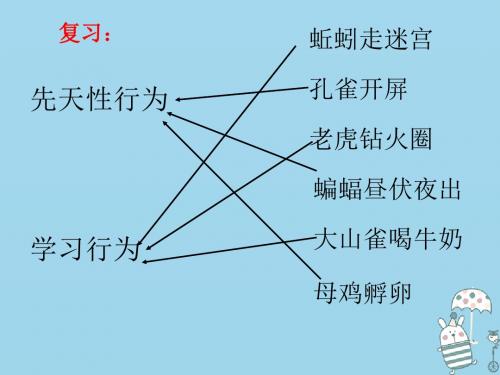 人教版(新课程标准)、5.2.3社会行为课件(14张PPT)