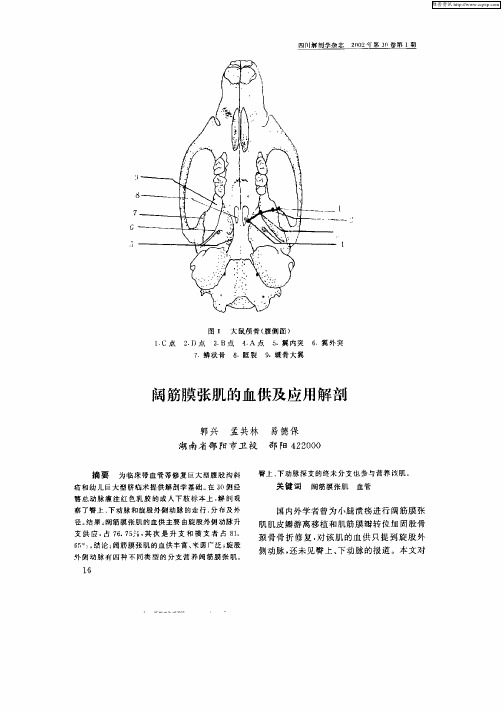 阔筋膜张肌的血供及应用解剖