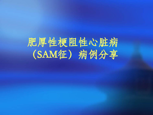 肥厚性梗阻性心脏病(SAM征)病例分享