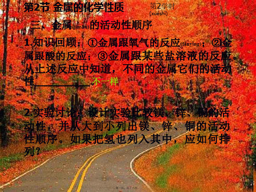 九年级科学上册 第2章 物质转化与材料利用 第2节《金属的化学性质》(第2课时)课件