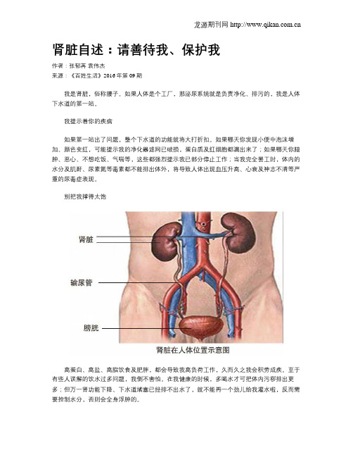 肾脏自述：请善待我、保护我