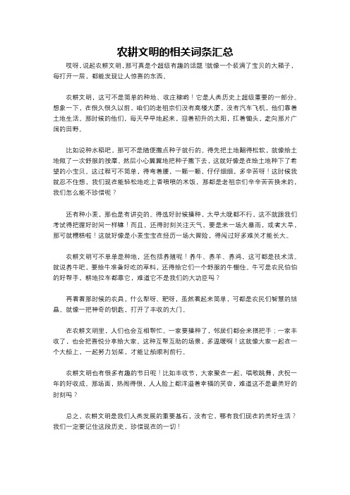 农耕文明的相关词条汇总