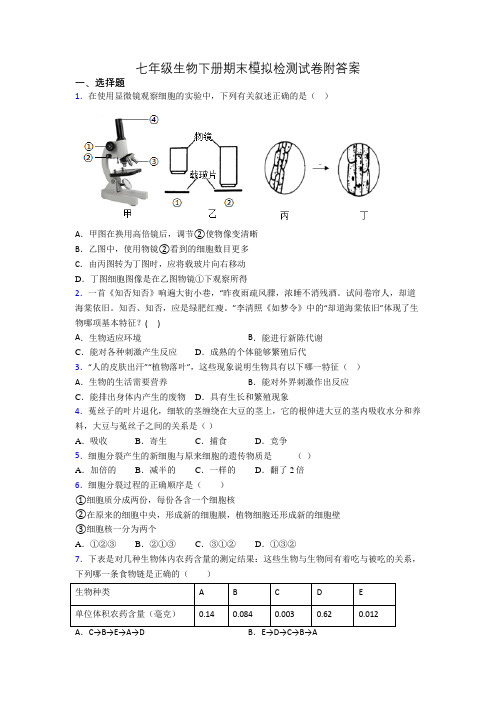 七年级生物下册期末模拟检测试卷附答案