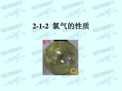 江苏省镇江市实验高中高中化学苏教版必修一课件：2-1-2氯气的性质