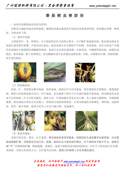 蕃茄病虫害防治有图有文字