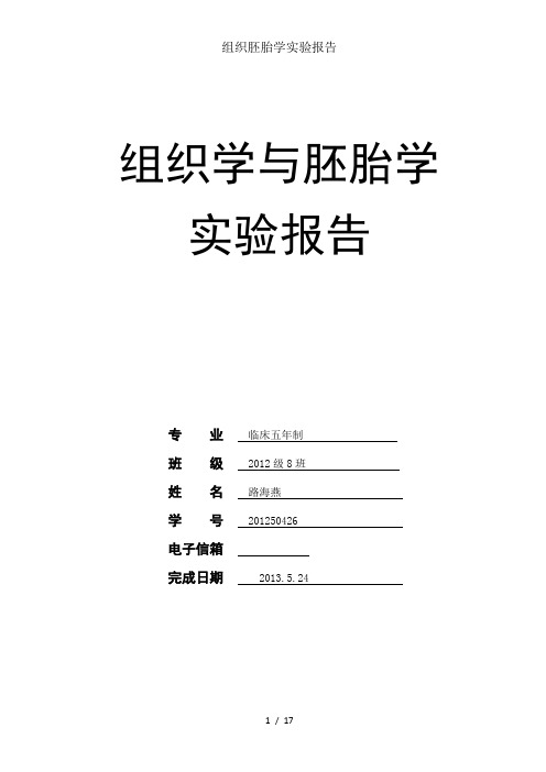 组织胚胎学实验报告