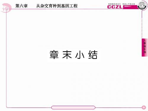 【成才之路】高中生物(人教版)必修二(学案课件+课时练习)：第六章  从杂交育种到基因工程 章末小结