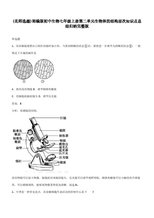 部编版初中生物七年级上册第二单元生物体的结构层次知识点总结归纳完整版