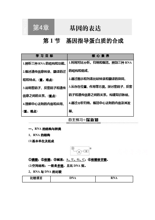 学年高中生物新教材人教版()必修第二册教师用书：第4章 第1节 基因指导蛋白质的合成 Word版含解析