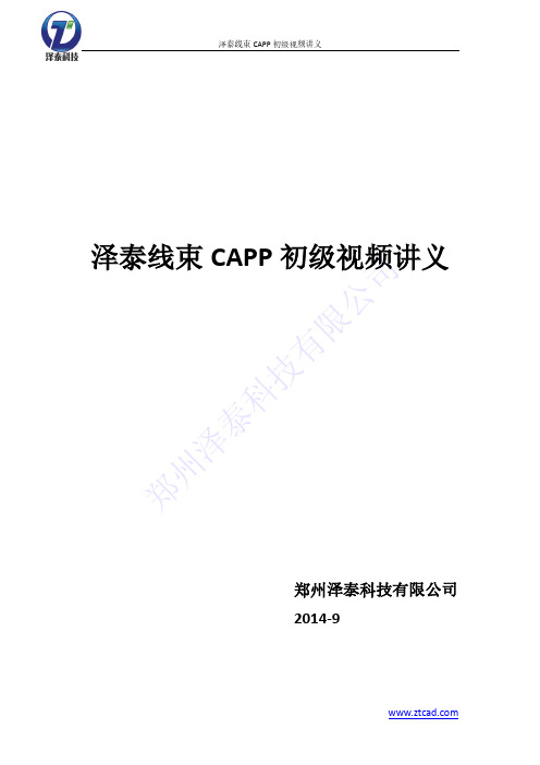 泽泰线束CAPP初级视频讲义