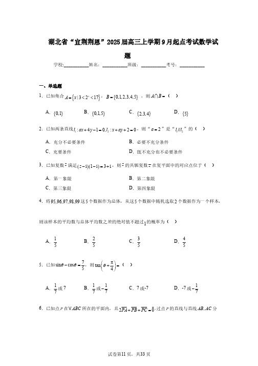 湖北省“宜荆荆恩”2025届高三上学期9月起点考试数学试题