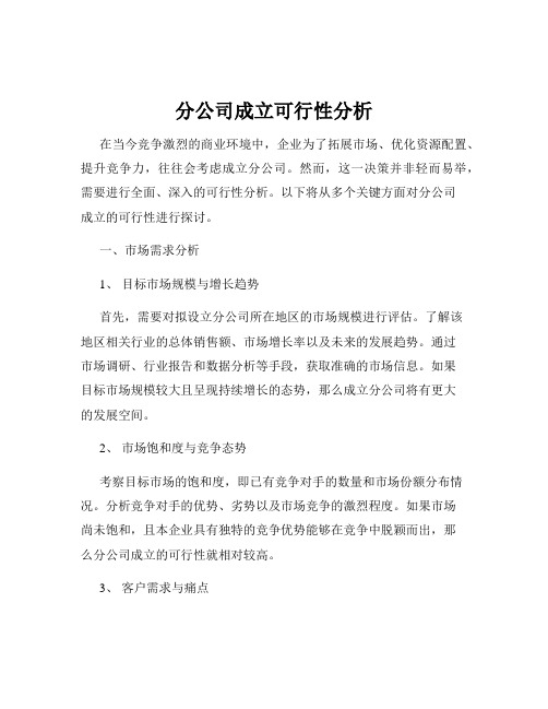 分公司成立可行性分析