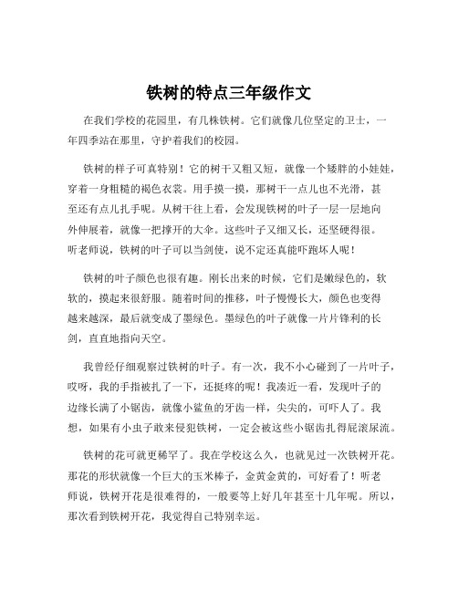 铁树的特点三年级作文