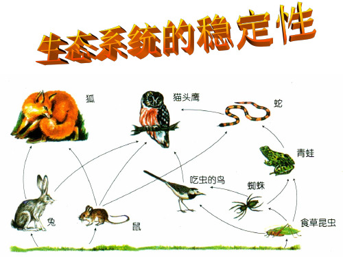 六年级下 生态平衡苏教版ppt (共24页)