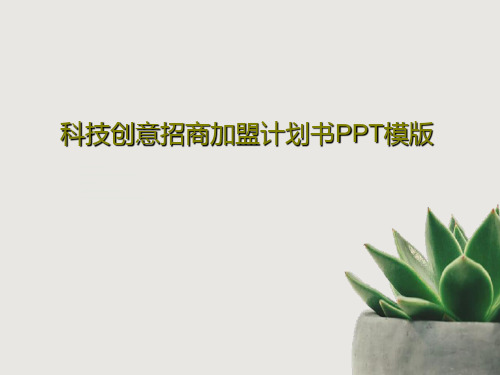 科技创意招商加盟计划书PPT模版28页文档