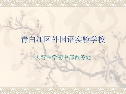 青白江区外国语实验学校09级分析