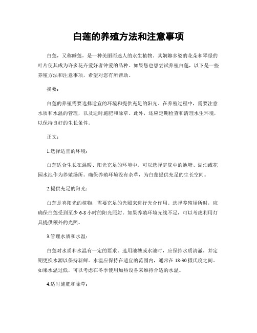 白莲的养殖方法和注意事项