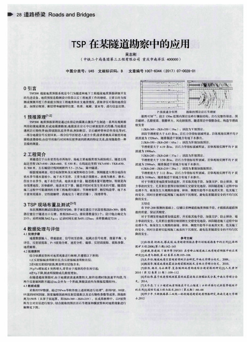 TSP在某隧道勘察中的应用