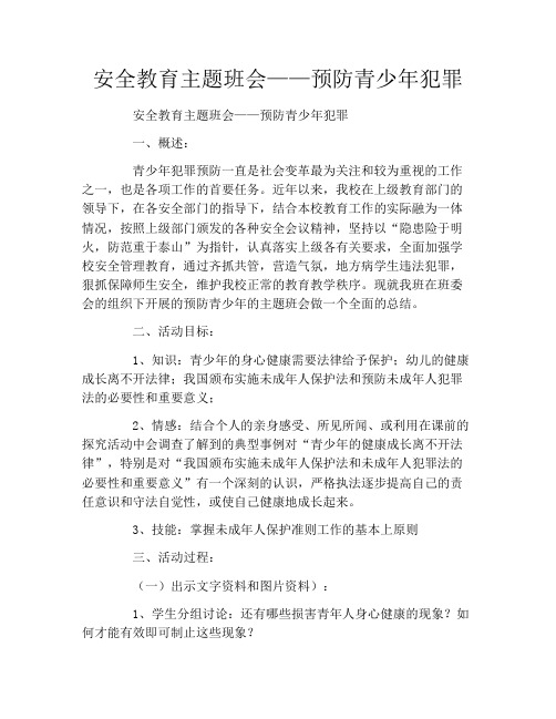 安全教育主题班会——预防青少年犯罪