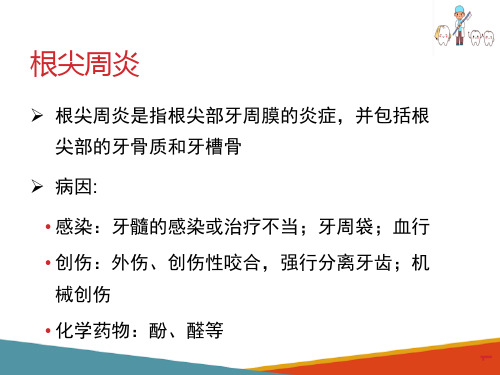 根尖周炎—急性根尖周炎(口腔组织病理学课件)