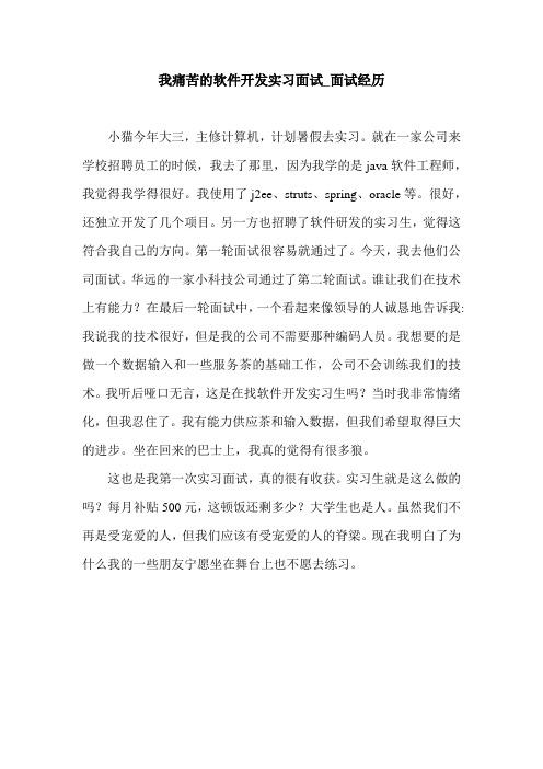 我痛苦的软件开发实习面试_面试经历.doc