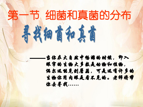 细菌和真菌的分布PPT课件12 人教版