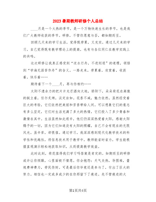 2023暑期教师研修个人总结(三篇)