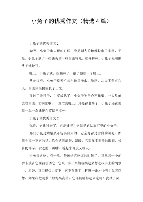 小兔子的优秀作文(精选4篇)