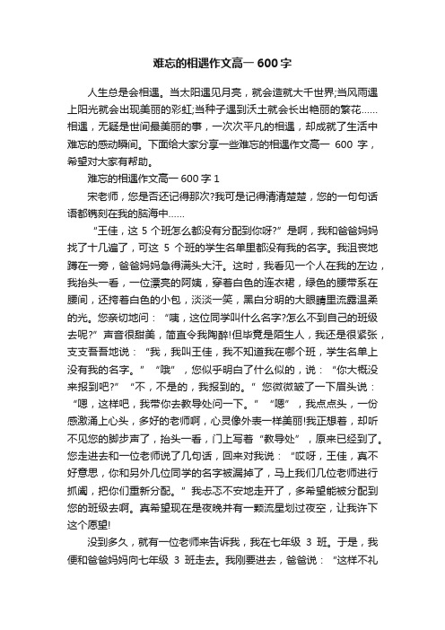 难忘的相遇作文高一600字